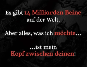 Gerne würde ich für  ( W )dein persönlicher Oralverwöhner 