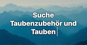 taubenzubehör und tauben gesucht 