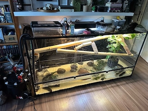 Terrarium Aquarium Paludarium Reptizoo 