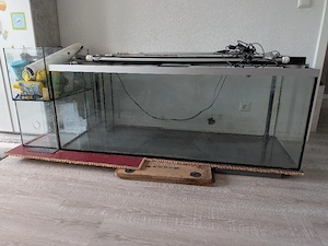 dringend! 600L Aquarium 