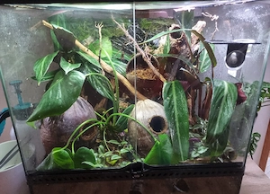 60 45 60 exo terrarium mit Zubehör 