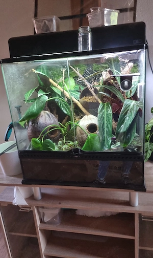 60 45 60 exo terrarium mit Zubehör  Bild 2