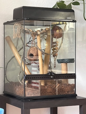Terrarium Exo Terra