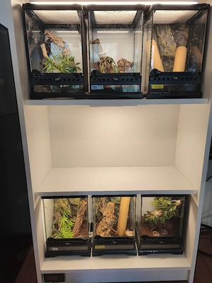 Aufzuchtschrank 