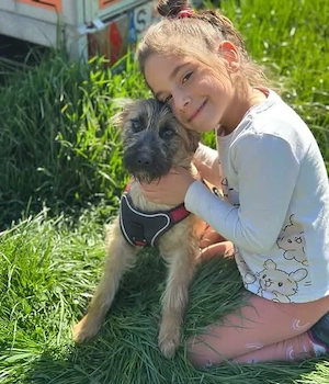 Hübsche Wilma sucht Familienanschluss Bild 4
