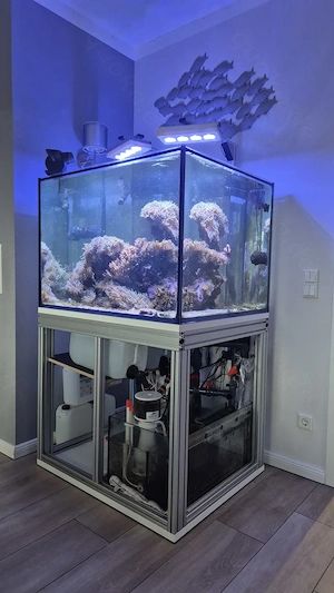 560L Meerwasseraquarium 100x80x70