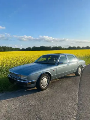 Jaguar XJ40 Daimler
