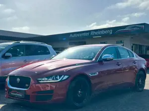 Jaguar XE Portfolio Aut. Leder 1. Hand Voll