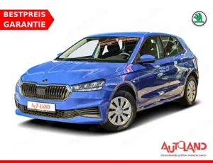 Skoda Fabia 1.0 Sitzheizung Tempomat Klima DAB LED