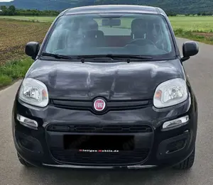 Fiat Panda Pop / Top Zustand