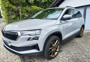 Skoda Karoq Karoq 1.5 TSI ACT DSG Selection