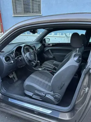 Volkswagen Beetle Sport Bild 3