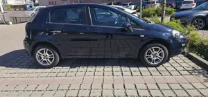 Fiat Punto More