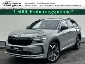 Skoda Kodiaq II 1.5 TSI m-HEV DSG Sportline Navi Kessy ACC Matr