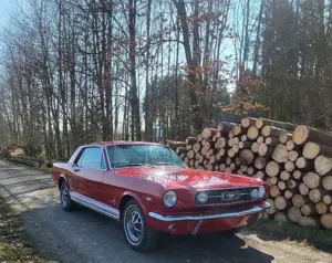 Ford Mustang Frühlingssale , v8