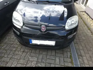 Fiat New Panda
