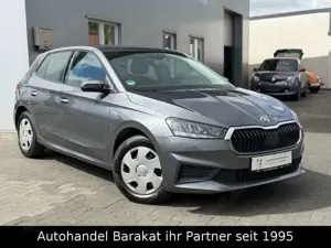 Skoda Fabia DSG 110PS 1.Hand KLIMA APP LED PDC CarPlay