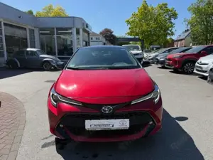 Toyota Corolla Hybrid Team D