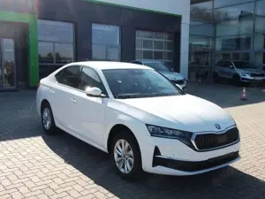 Skoda Octavia 1,5 eTSI DSG Selection ACC Winter Kam