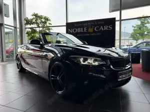 BMW 220 i Cabrio M Sport H/K LED NAV PDC SHZ 18"