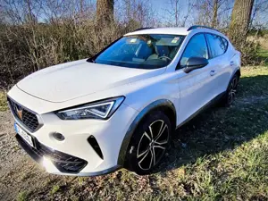 CUPRA Formentor 2.0 TSI 4Drive DSG, Standheizung, Scheckheft..