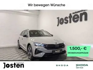 Skoda Octavia Combi RS 2.0TSI DCC AHK Pano InfotainFahrAss+ Win