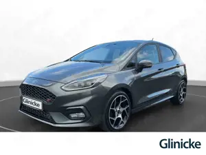 Ford Fiesta ST Performance Kamera LED Winter-Paket Si