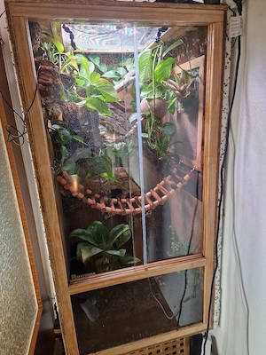 Terrarium 60 120 60