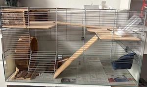 hamster käfig 