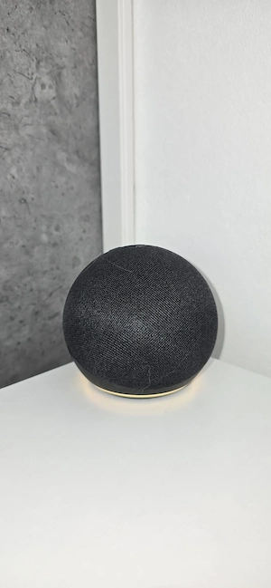 Echo Dot   Neuste Generation 