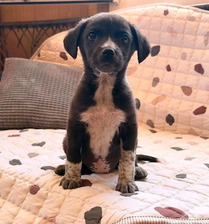 Nori - kleine Lady sucht dich!