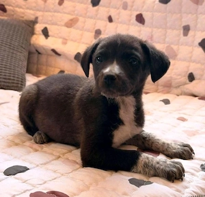Nori - kleine Lady sucht dich! Bild 3