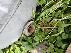 2 x Wassertank a 1000 L Bild 2