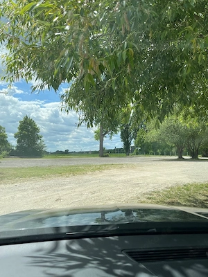 21.5. 16Uhr  Welche Dame möchte mich nackt finden (18x5cm) direkt am Parkplatz Baiersdorfer Weiher