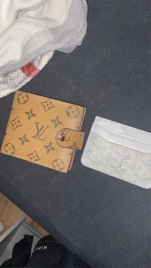 louisa vuitton ubd goyard geldbeutel 