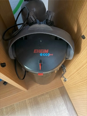 Außenfilter Eheim ecco pro 300 (750l h), Fische, Aquarium