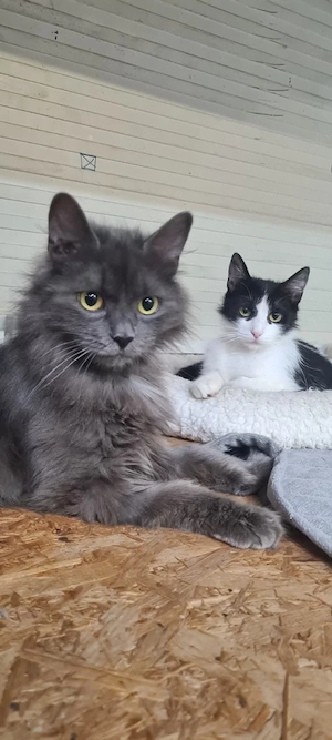 Tiki & Sophie Dreamteam sind bereit fürs Abenteuer