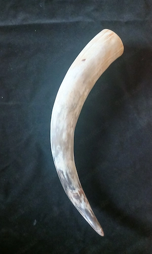 Trinkhorn Mittelalter 