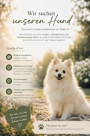 Familienhund    