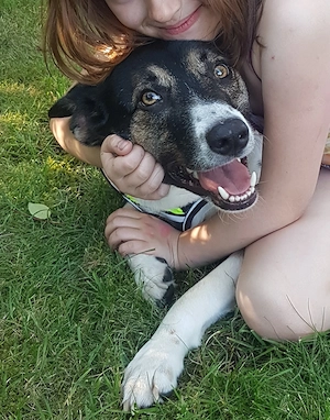 Yoshi sucht Haus mit Garten mit hundeerfahrenen Menschen
