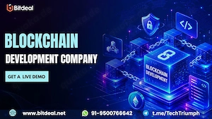 Turn Your Blockchain Vision into a Powerful Money-Making Platform 