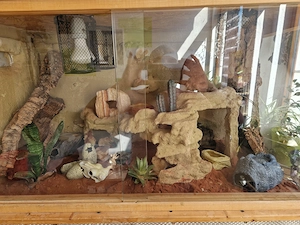 Terrarium (ohne Bewohner)