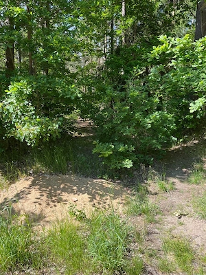 23.5. 19Uhr Sichtbare Riesenlatte am Parkplatz zum Testen...  Bild 4