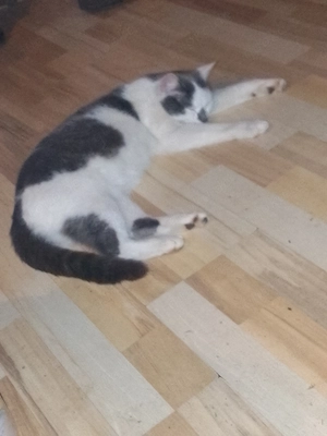 Herzensbrecherin sucht dich