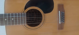 Höfner Gitarre 12 Saitig zu verkaufen  Bild 2