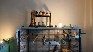 Wegen Hobbyaufgabe Bild 2