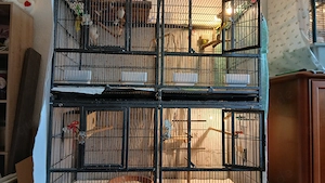 Wegen Hobbyaufgabe Bild 5