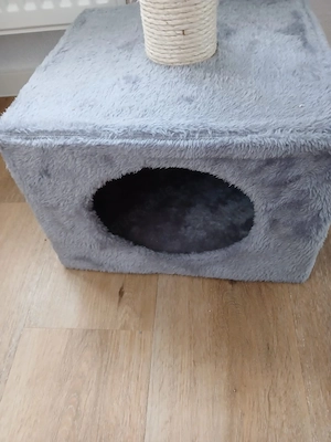 katzenbaum