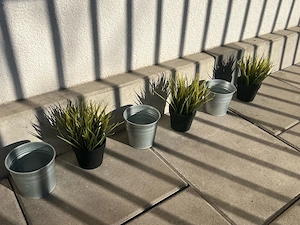 Topfpflanze mit Blumentopf Bild 2