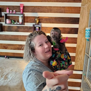 Kapuzineraffe zur Adoption